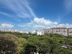 Blk 334 Kampong Ubi View (Geylang), HDB Executive #594691541